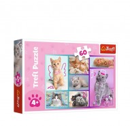 Puzzle 60 Svet maiek