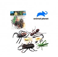 Zvieratá hmyz  6ks