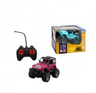 Auto RC ternne Mini car