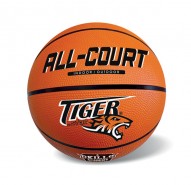 Lopta basketbalov oranov